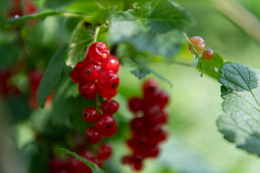 Similar image 22039572