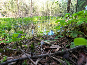 Similar image 22025202