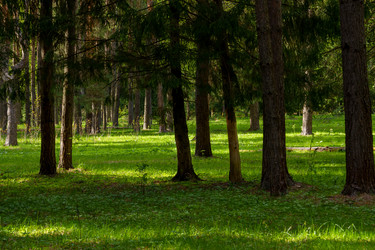 Similar image 22025304