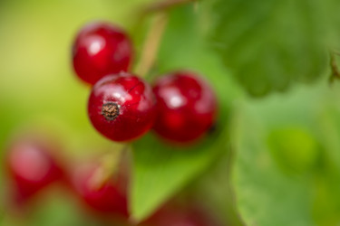 Similar image 22047189