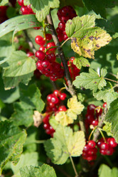 Similar image 22039326