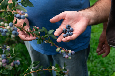 Similar image 22039783