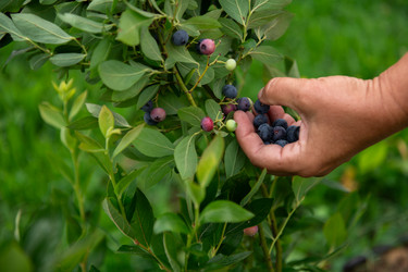 Similar image 22047179