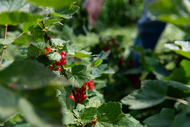 Similar image 22047184