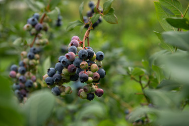 Similar image 22047199