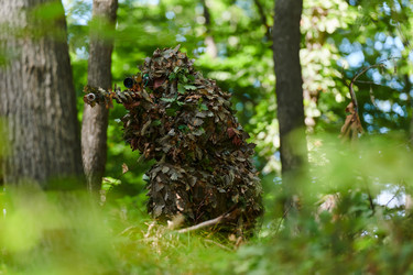 Similar image 22047180