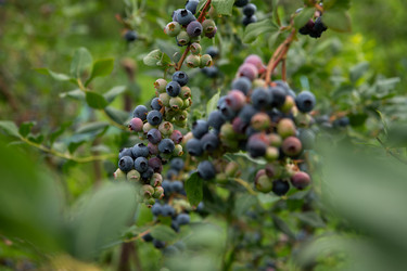 Similar image 22039328