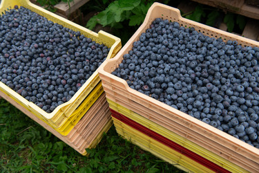 Similar image 22039593