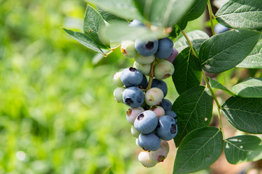 Similar image 22029257