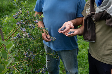 Similar image 22030464