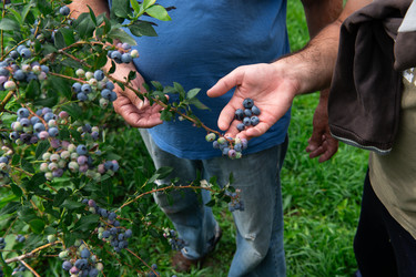 Similar image 22032955