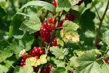 Similar image 22039342