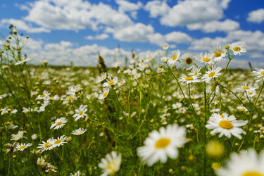 Similar image 22025226