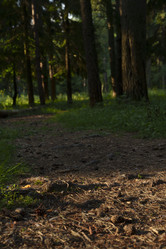 Similar image 22025110