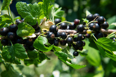 Similar image 22029420