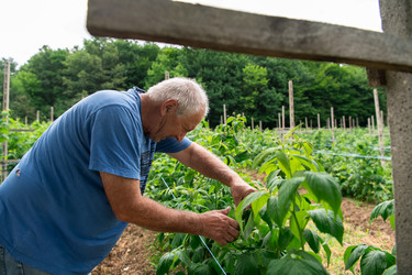 Similar image 22029708