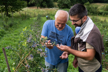 Similar image 22030055