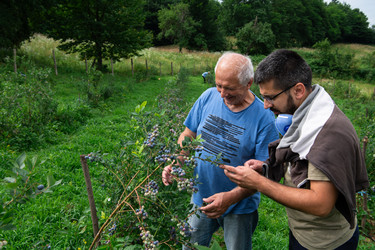 Similar image 22030058