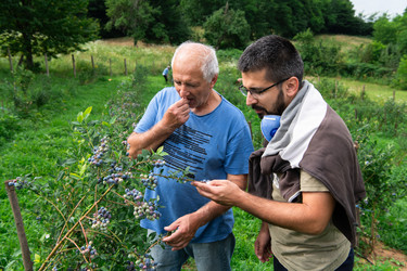 Similar image 22030062