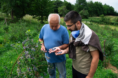 Similar image 22030063