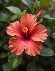 Similar image 22027626