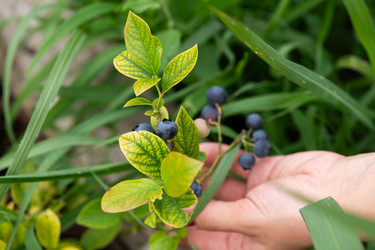 Similar image 22039804