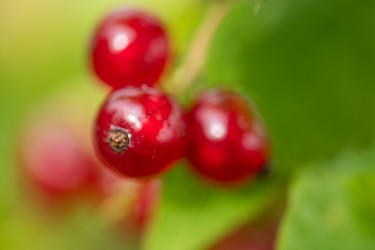 Similar image 22047447