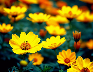 Similar image 22027635