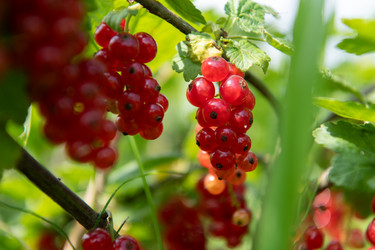 Similar image 22029715