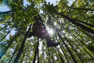 Similar image 22039362