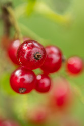 Similar image 22039809