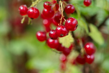 Similar image 22039373