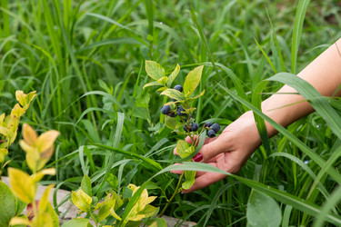 Similar image 22039621