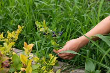 Similar image 22039816