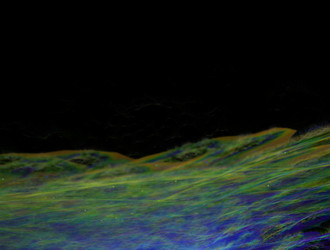 Similar image 22020866