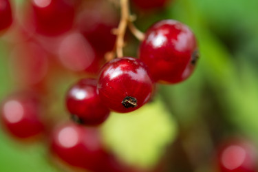 Similar image 22039393