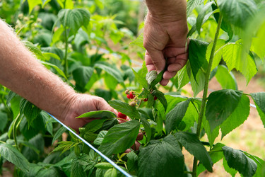 Similar image 22039624