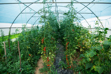 Similar image 22029509