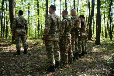 Similar image 22030090