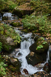 Similar image 22030504