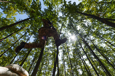 Similar image 22030515