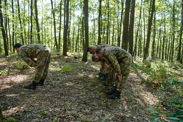 Similar image 22031810