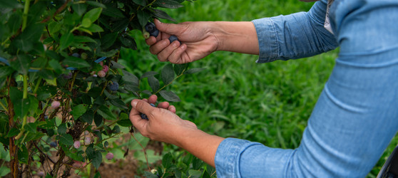 Similar image 22032839