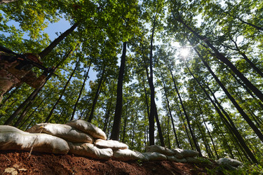 Similar image 22030540