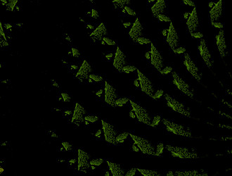 Similar image 22022982