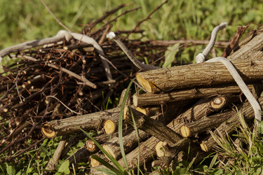 Similar image 22025072