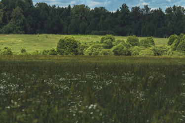 Similar image 22025074