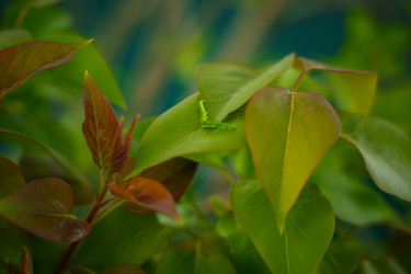 Similar image 22025230