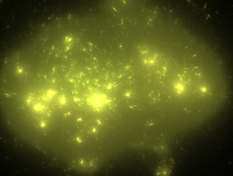 Similar image 22022141