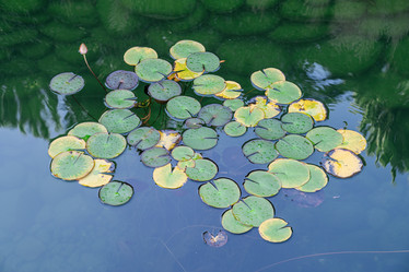 Similar image 22038294